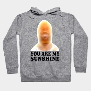 You are my sunshine James meme Hoodie